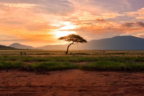 Telkom Kenya pledges to connect African youth